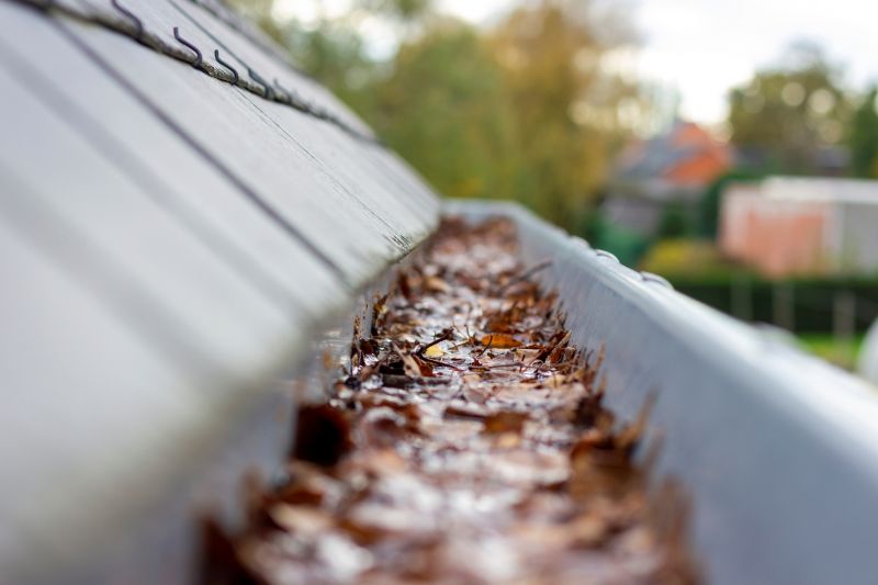 Gutter Debris Removal