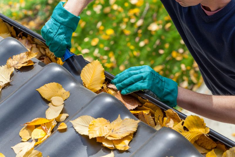 Gutter Leaves Removal