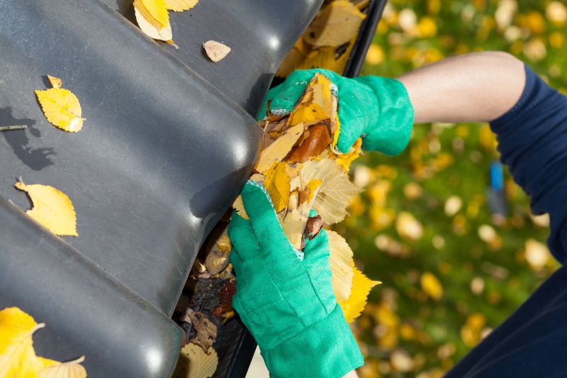 Gutter Leaves Removal