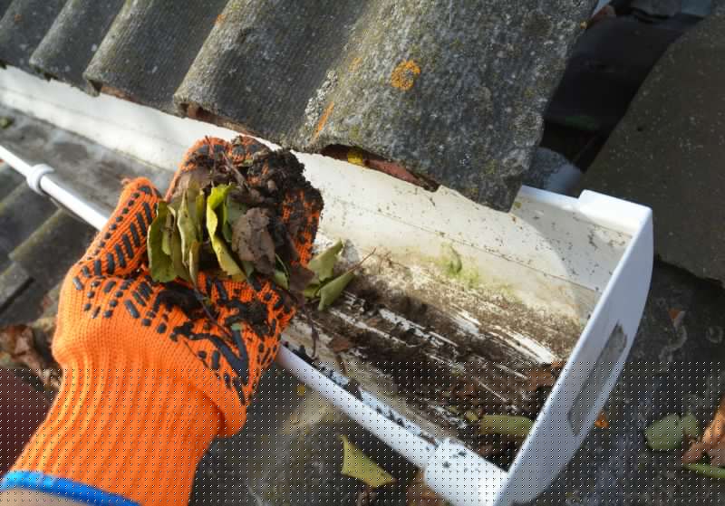 Roof Gutter Cleaning