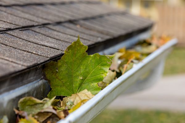 Cost of Gutter System Cleaning in Hudson