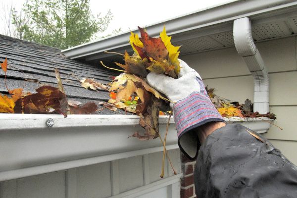 House Gutter Cleaning in Hudson