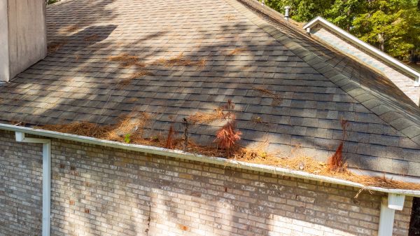 Cost of Gutter Pine Needle Removal in Hudson