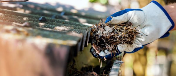Pine Needle Gutter Cleaning in Hudson